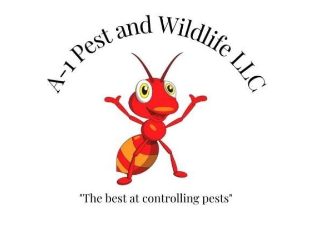 Pest & Termite Control; Wildlife Exclusion & Control; Crawlspace