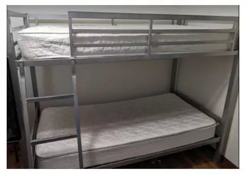 Adult Bunk Beds
